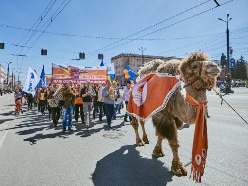 Челябинский Первомай впервые за 7 лет пройдет без верблюда Григория и энергетиков