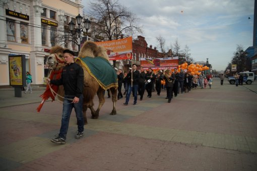 Энергетики и верблюд Григорий опять удивили Челябинск!