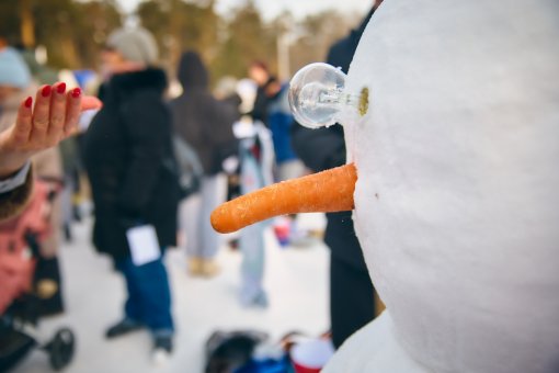 фото снеговика с левого бока