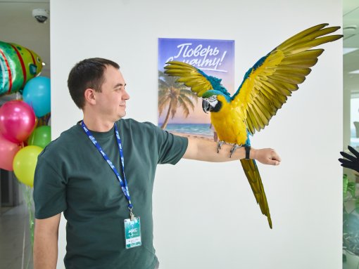 Тропическое 8 марта