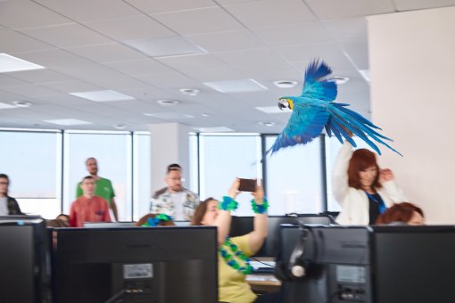 Тропическое 8 марта