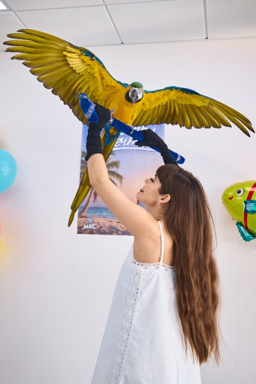 Тропическое 8 марта