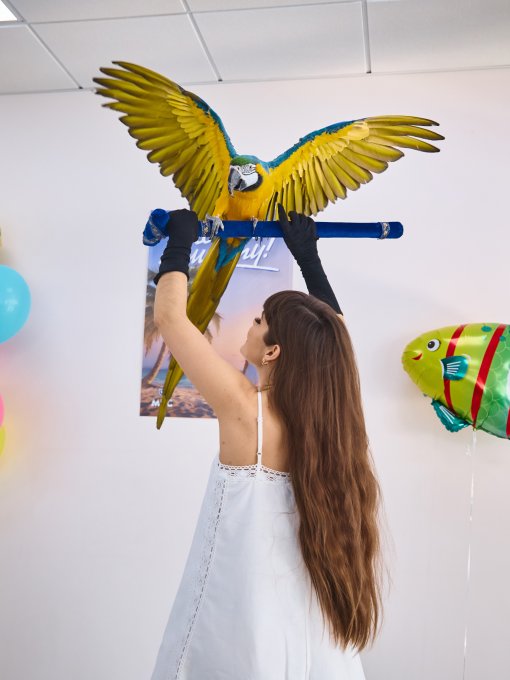 Тропическое 8 марта