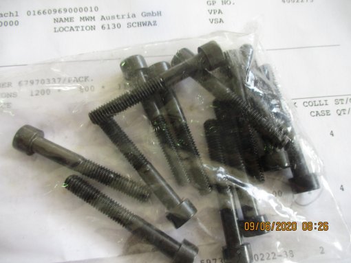 MWM Винт с цилиндрической головкой № 0115 1495